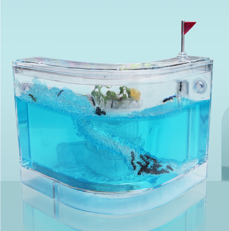 Ant Farm Castle Experiment And Toy Allows Study Of Social Structure
